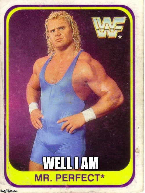 Mr Perfect | WELL I AM | image tagged in mr perfect | made w/ Imgflip meme maker