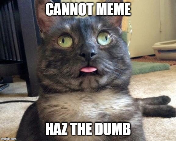 CANNOT MEME HAZ THE DUMB | made w/ Imgflip meme maker