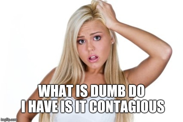 Dumb Blonde | WHAT IS DUMB DO I HAVE IS IT CONTAGIOUS | image tagged in dumb blonde | made w/ Imgflip meme maker