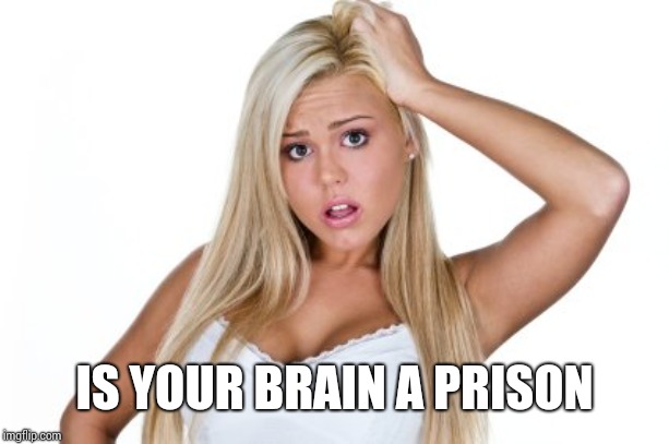 Dumb Blonde | IS YOUR BRAIN A PRISON | image tagged in dumb blonde | made w/ Imgflip meme maker