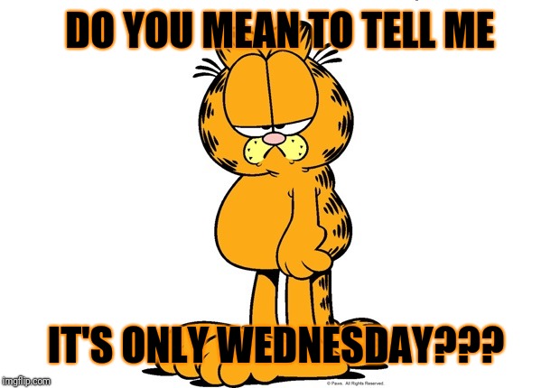 Grumpy Garfield | DO YOU MEAN TO TELL ME; IT'S ONLY WEDNESDAY??? | image tagged in grumpy garfield | made w/ Imgflip meme maker