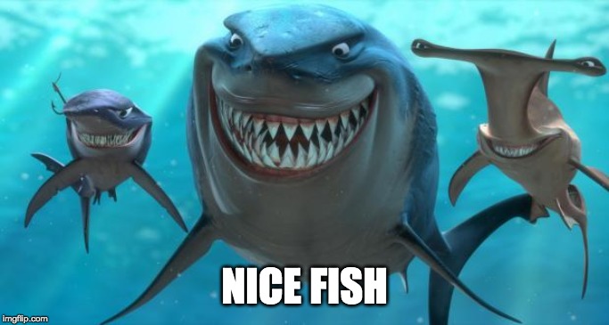 Fish are friends not food | NICE FISH | image tagged in fish are friends not food | made w/ Imgflip meme maker