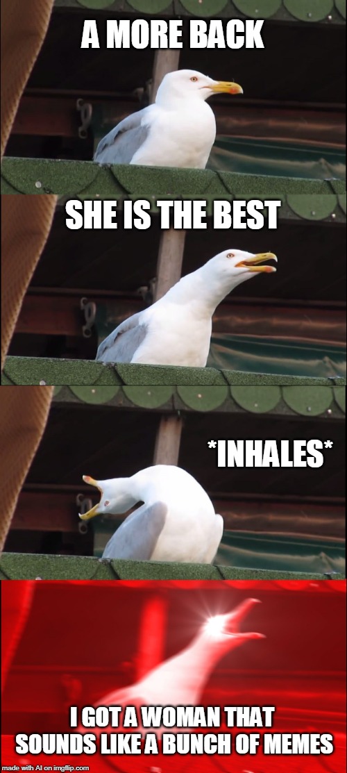 "I GOT A WOMAN THAT SOUNDS LIKE A BUNCH OF MEMES" -A.I | A MORE BACK; SHE IS THE BEST; *INHALES*; I GOT A WOMAN THAT SOUNDS LIKE A BUNCH OF MEMES | image tagged in memes,inhaling seagull | made w/ Imgflip meme maker