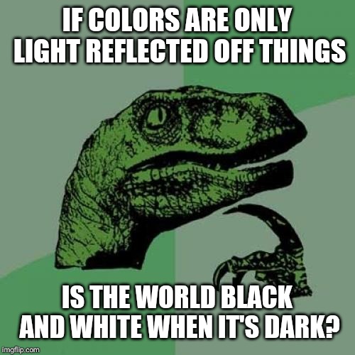 Philosoraptor | IF COLORS ARE ONLY LIGHT REFLECTED OFF THINGS; IS THE WORLD BLACK AND WHITE WHEN IT'S DARK? | image tagged in memes,philosoraptor | made w/ Imgflip meme maker