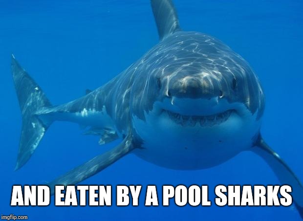 Straight White Shark | AND EATEN BY A POOL SHARKS | image tagged in straight white shark | made w/ Imgflip meme maker