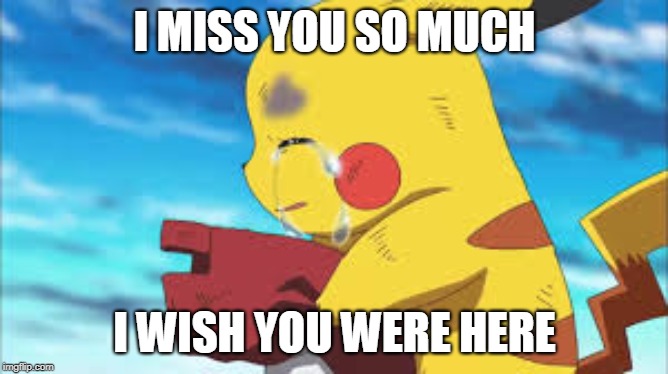 i miss you | I MISS YOU SO MUCH; I WISH YOU WERE HERE | image tagged in pikachu crying | made w/ Imgflip meme maker