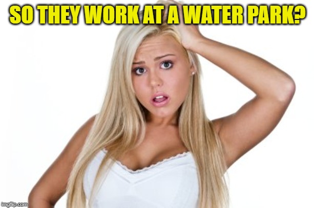 Dumb Blonde | SO THEY WORK AT A WATER PARK? | image tagged in dumb blonde | made w/ Imgflip meme maker