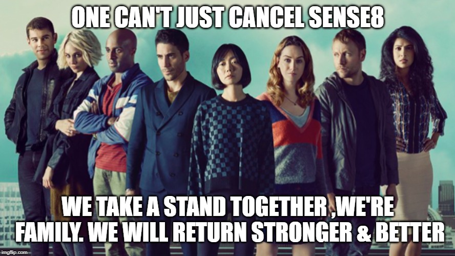 Sense8 cast | ONE CAN'T JUST CANCEL SENSE8; WE TAKE A STAND TOGETHER ,WE'RE FAMILY. WE WILL RETURN STRONGER & BETTER | image tagged in sense8 cast | made w/ Imgflip meme maker