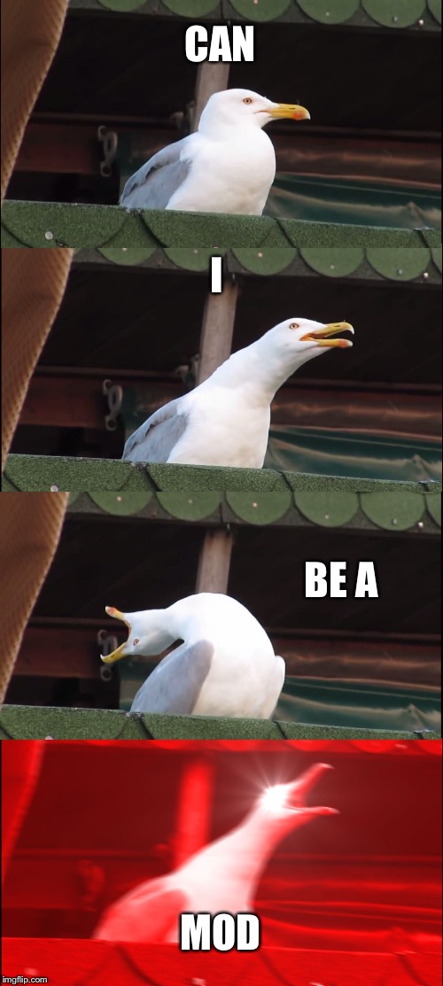 Inhaling Seagull Meme | CAN; I; BE A; MOD | image tagged in memes,inhaling seagull | made w/ Imgflip meme maker