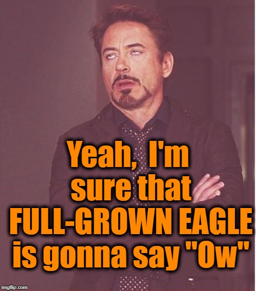 Face You Make Robert Downey Jr Meme | Yeah,  I'm sure that FULL-GROWN EAGLE is gonna say "Ow" | image tagged in memes,face you make robert downey jr | made w/ Imgflip meme maker