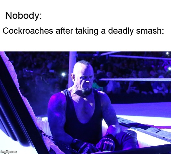 Nobody:; Cockroaches after taking a deadly smash: | image tagged in memes | made w/ Imgflip meme maker