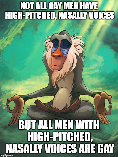 Rafiki wisdom | NOT ALL GAY MEN HAVE HIGH-PITCHED, NASALLY VOICES; BUT ALL MEN WITH HIGH-PITCHED, NASALLY VOICES ARE GAY | image tagged in rafiki wisdom | made w/ Imgflip meme maker