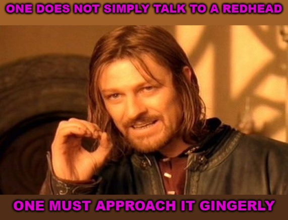 One Does Not Simply Meme | ONE DOES NOT SIMPLY TALK TO A REDHEAD; ONE MUST APPROACH IT GINGERLY | image tagged in memes,one does not simply | made w/ Imgflip meme maker