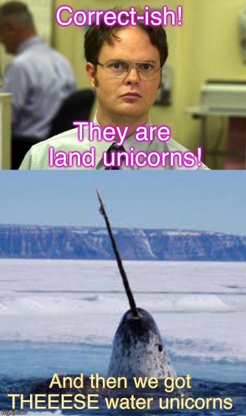Correct-ish! They are land unicorns! And then we got THEEESE water unicorns | image tagged in memes,dwight schrute | made w/ Imgflip meme maker