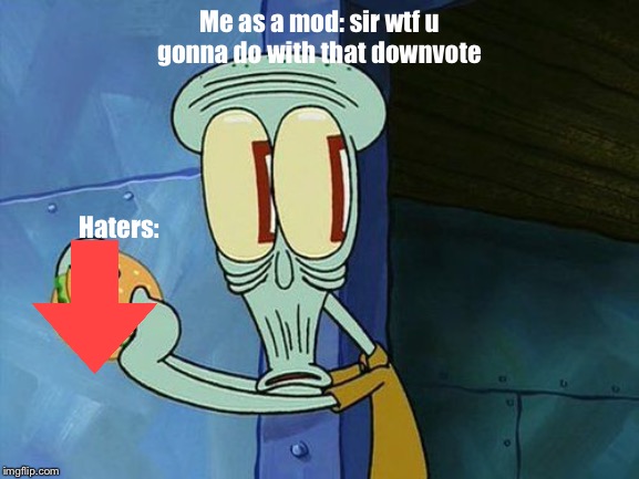 Oh shit Squidward | Me as a mod: sir wtf u gonna do with that downvote; Haters: | image tagged in oh shit squidward,oof,holy shit | made w/ Imgflip meme maker