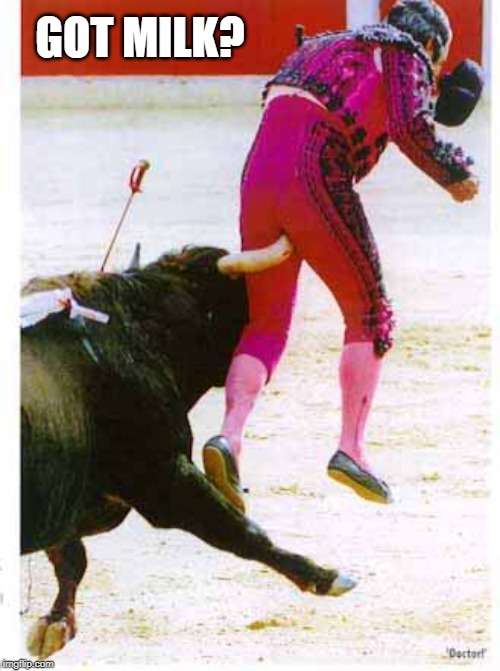Inspired by one of Raydog's meme! | GOT MILK? | image tagged in taking the bull by the horns,memes,bullfighting,bullfighter,funny memes,bull | made w/ Imgflip meme maker