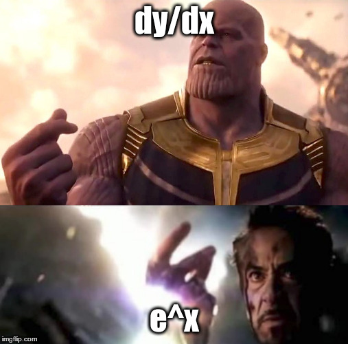 Chart Maker. dy/dx; e x image tagged in thanos snap made w/ Imgflip meme ma...