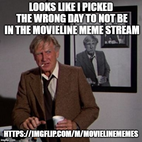 Steve McCroskey | LOOKS LIKE I PICKED THE WRONG DAY TO NOT BE IN THE MOVIELINE MEME STREAM; HTTPS://IMGFLIP.COM/M/MOVIELINEMEMES | image tagged in steve mccroskey | made w/ Imgflip meme maker