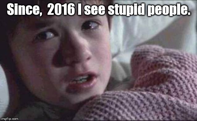 I See Dead People Meme | Since,  2016 I see stupid people. | image tagged in memes,i see dead people | made w/ Imgflip meme maker