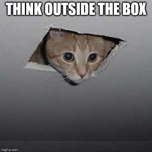 Ceiling Cat Meme | THINK OUTSIDE THE BOX | image tagged in memes,ceiling cat | made w/ Imgflip meme maker