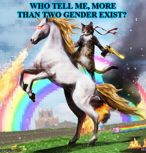 Welcome To The Internets Meme | WHO TELL ME, MORE THAN TWO GENDER EXIST? | image tagged in memes,welcome to the internets | made w/ Imgflip meme maker