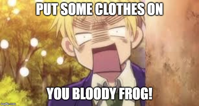 England Scream | PUT SOME CLOTHES ON; YOU BLOODY FROG! | image tagged in england scream | made w/ Imgflip meme maker