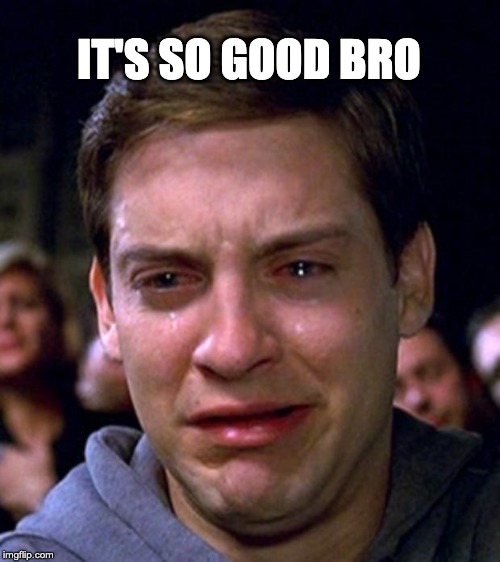 crying peter parker | IT'S SO GOOD BRO | image tagged in crying peter parker | made w/ Imgflip meme maker