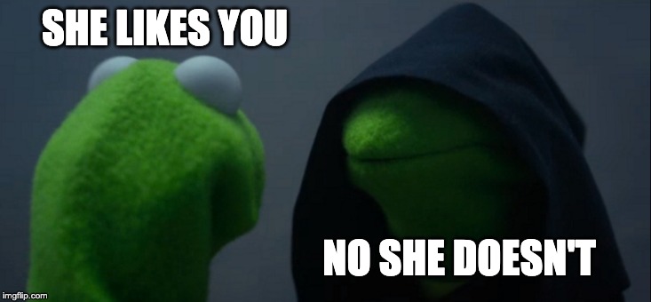 Evil Kermit Meme | SHE LIKES YOU; NO SHE DOESN'T | image tagged in memes,evil kermit | made w/ Imgflip meme maker