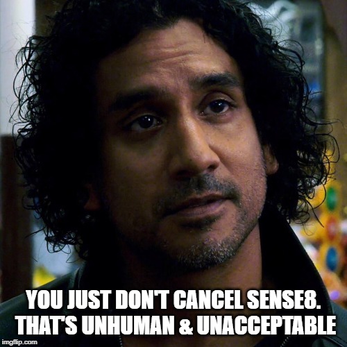 Sense8 forever | YOU JUST DON'T CANCEL SENSE8. THAT'S UNHUMAN & UNACCEPTABLE | image tagged in sense8,oh the humanity | made w/ Imgflip meme maker