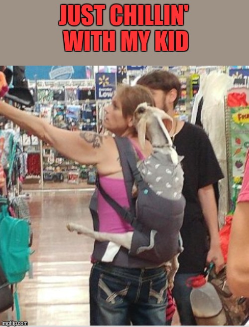 Baa baa | JUST CHILLIN' WITH MY KID | image tagged in memes,goats,wal-mart,grocery store,44colt,animals | made w/ Imgflip meme maker