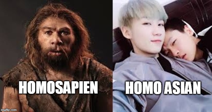 the new genus | HOMO ASIAN; HOMOSAPIEN | image tagged in gay pride,funny memes | made w/ Imgflip meme maker