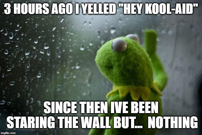 kermit window | 3 HOURS AGO I YELLED "HEY KOOL-AID"; SINCE THEN IVE BEEN STARING THE WALL BUT...  NOTHING | image tagged in kermit window,sad,kool aid,disappointment,fun,waiting | made w/ Imgflip meme maker