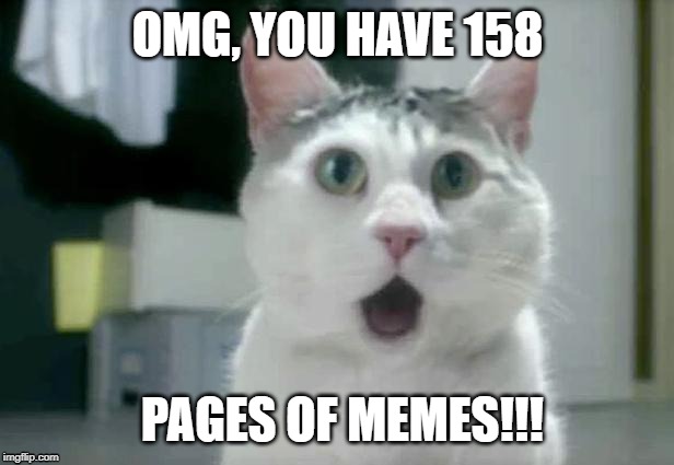 OMG Cat Meme | OMG, YOU HAVE 158 PAGES OF MEMES!!! | image tagged in memes,omg cat | made w/ Imgflip meme maker