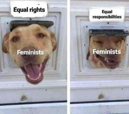 High Quality Feminist Dog Blank Meme Template