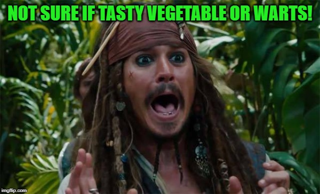 Capt Jack Sparrow Ahhh | NOT SURE IF TASTY VEGETABLE OR WARTS! | image tagged in capt jack sparrow ahhh | made w/ Imgflip meme maker