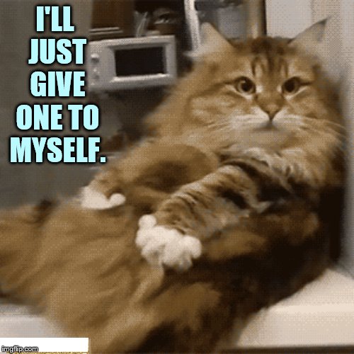 If Nobody Wants A Massage | I'LL JUST GIVE ONE TO MYSELF. | image tagged in memes,kitten,nobody,massage,do it,myself | made w/ Imgflip meme maker