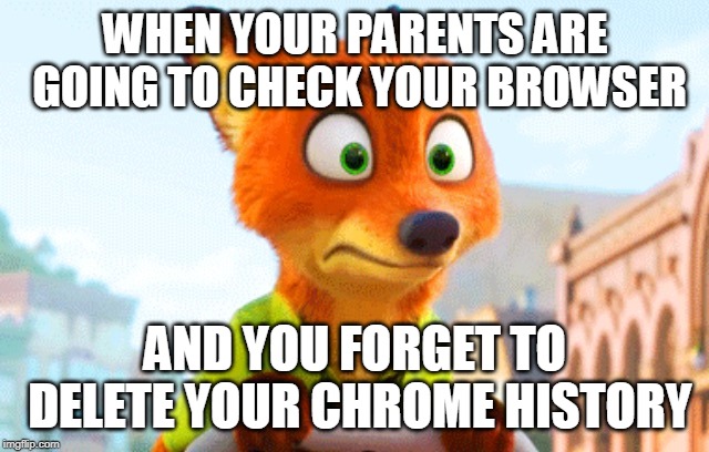 Zootopia Nick Awkward | WHEN YOUR PARENTS ARE GOING TO CHECK YOUR BROWSER; AND YOU FORGET TO DELETE YOUR CHROME HISTORY | image tagged in zootopia nick awkward | made w/ Imgflip meme maker