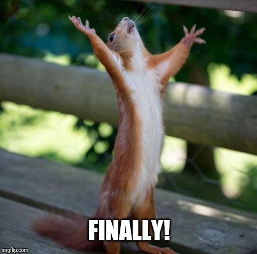 finally | FINALLY! | image tagged in finally | made w/ Imgflip meme maker