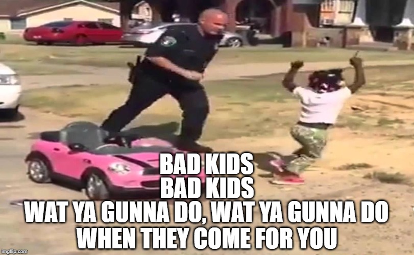 COPS | BAD KIDS; BAD KIDS; WAT YA GUNNA DO, WAT YA GUNNA DO; WHEN THEY COME FOR YOU | image tagged in cops,naughty,fun stuff,fun | made w/ Imgflip meme maker