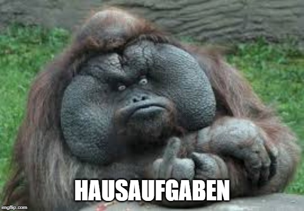 Funny animals | HAUSAUFGABEN | image tagged in funny animals | made w/ Imgflip meme maker