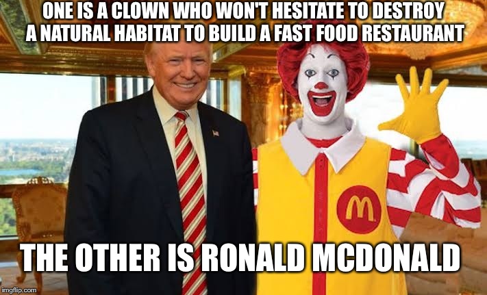 Ronald McDonald Trump | ONE IS A CLOWN WHO WON'T HESITATE TO DESTROY A NATURAL HABITAT TO BUILD A FAST FOOD RESTAURANT; THE OTHER IS RONALD MCDONALD | image tagged in ronald mcdonald trump | made w/ Imgflip meme maker