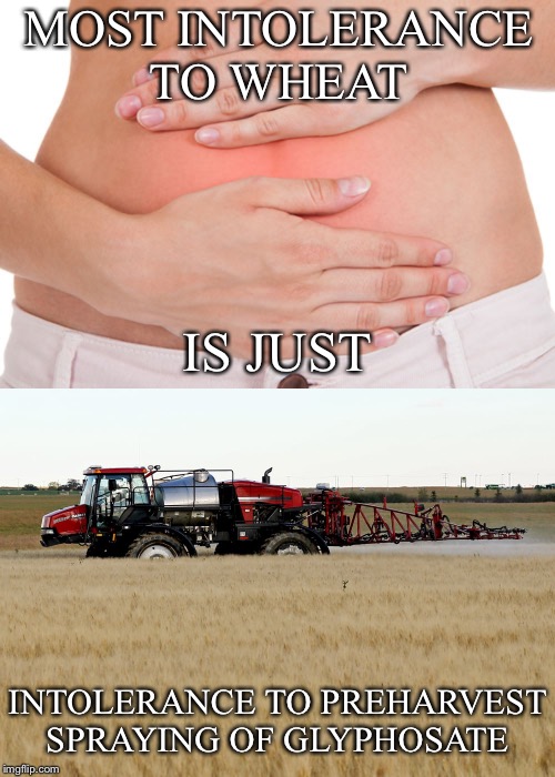 It’s not the wheat | MOST INTOLERANCE TO WHEAT; IS JUST; INTOLERANCE TO PREHARVEST SPRAYING OF GLYPHOSATE | image tagged in digestive,wheat intolerance,spraying,glyphosate,herbicide,preharvest | made w/ Imgflip meme maker