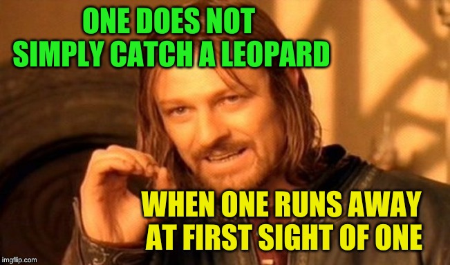 One Does Not Simply Meme | ONE DOES NOT SIMPLY CATCH A LEOPARD WHEN ONE RUNS AWAY AT FIRST SIGHT OF ONE | image tagged in memes,one does not simply | made w/ Imgflip meme maker