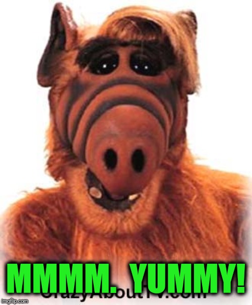 ALF | MMMM.  YUMMY! | image tagged in alf | made w/ Imgflip meme maker