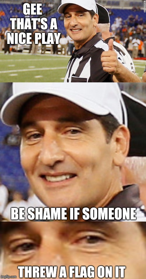 GEE THAT'S A NICE PLAY; BE SHAME IF SOMEONE; THREW A FLAG ON IT | image tagged in nfl ref | made w/ Imgflip meme maker