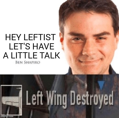 Left wing destroyed | HEY LEFTIST LET'S HAVE A LITTLE TALK | image tagged in left wing destroyed | made w/ Imgflip meme maker