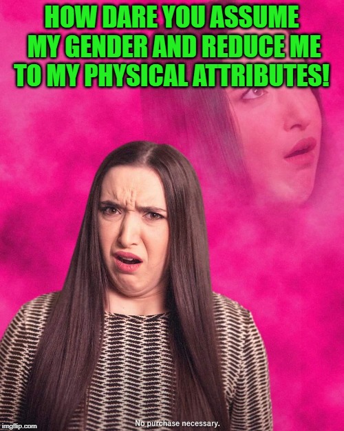 Offended Girl | HOW DARE YOU ASSUME MY GENDER AND REDUCE ME TO MY PHYSICAL ATTRIBUTES! | image tagged in offended girl | made w/ Imgflip meme maker