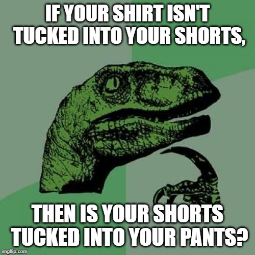 Philosoraptor | IF YOUR SHIRT ISN'T TUCKED INTO YOUR SHORTS, THEN IS YOUR SHORTS TUCKED INTO YOUR PANTS? | image tagged in memes,philosoraptor | made w/ Imgflip meme maker