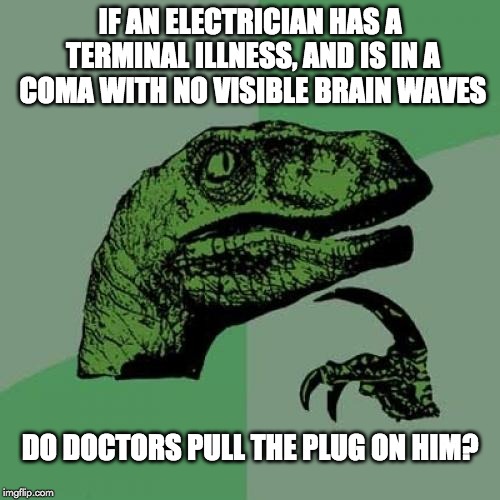 Philosoraptor Meme | IF AN ELECTRICIAN HAS A TERMINAL ILLNESS, AND IS IN A COMA WITH NO VISIBLE BRAIN WAVES; DO DOCTORS PULL THE PLUG ON HIM? | image tagged in memes,philosoraptor | made w/ Imgflip meme maker