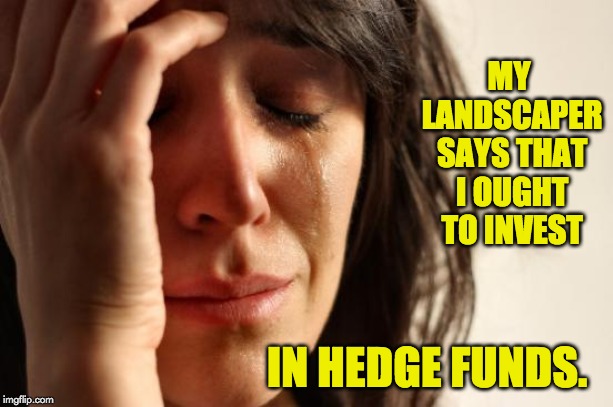 First World Problems Meme | MY LANDSCAPER SAYS THAT I OUGHT TO INVEST; IN HEDGE FUNDS. | image tagged in memes,first world problems | made w/ Imgflip meme maker